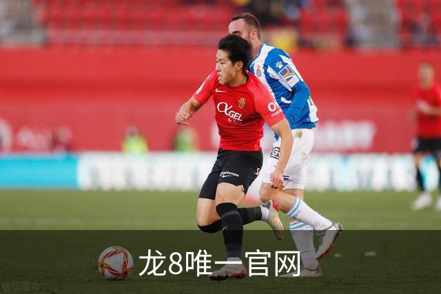 龙8唯一官网公司简介图片